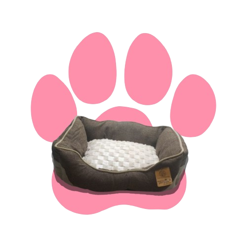 Beds & Comfort
