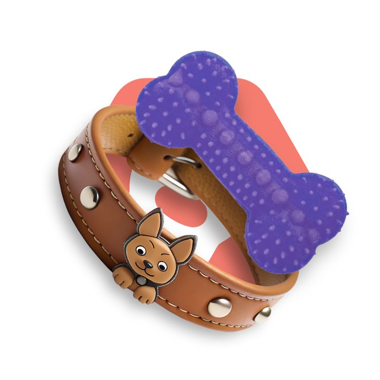 Special Kits & Promotions