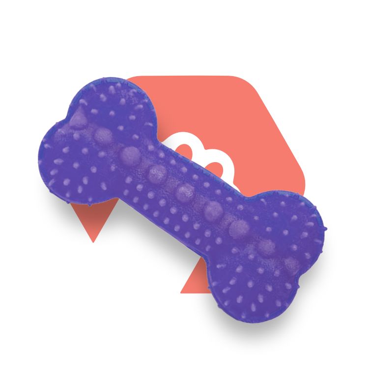 Toys & Entertainment