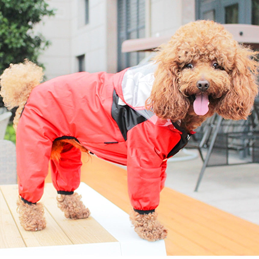 Raincoat for Small and Medium Dogs