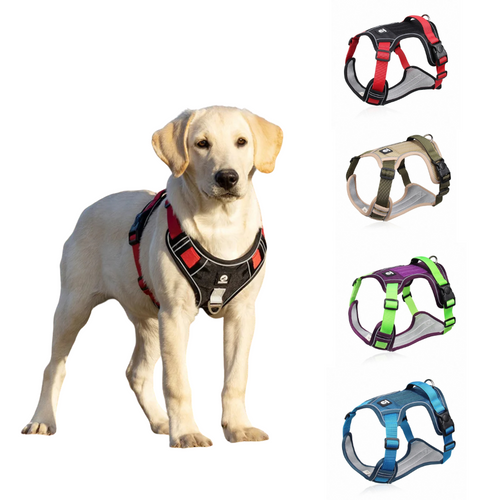 Adjustable Dog Harness Collar
