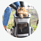Expandable Cat Carrier Bag