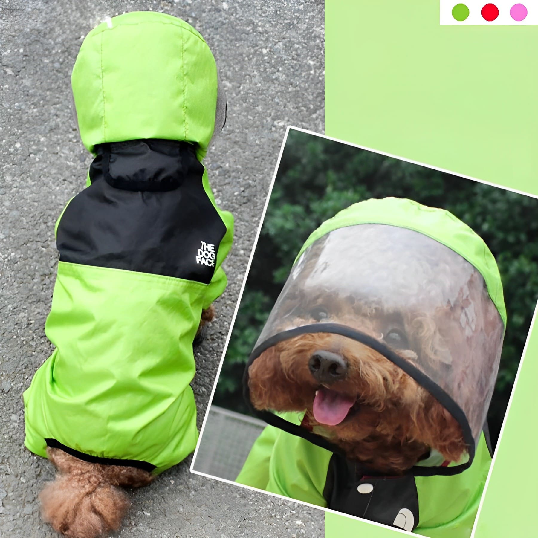 Raincoat for Small and Medium Dogs