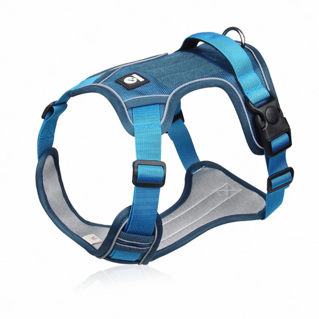 Adjustable Dog Harness Collar