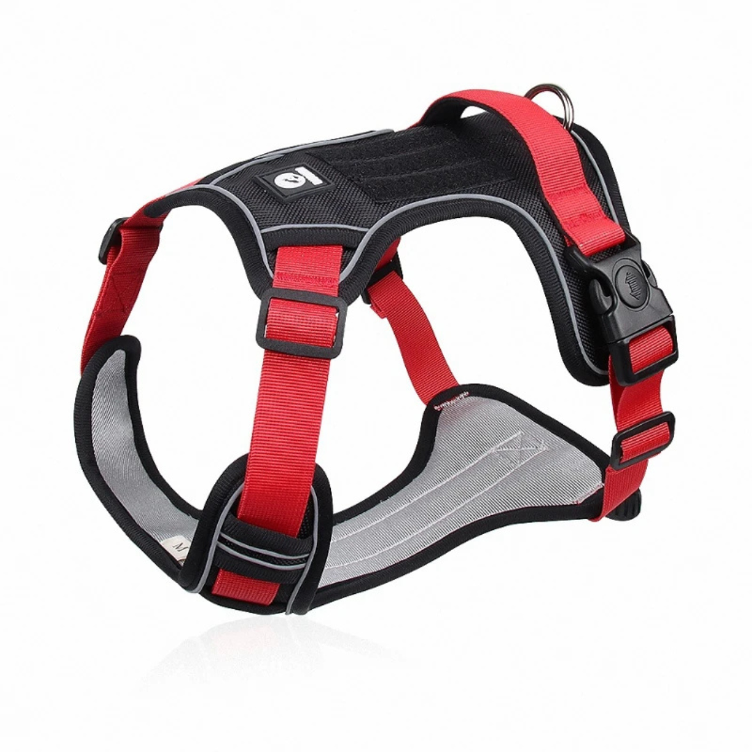 Adjustable Dog Harness Collar