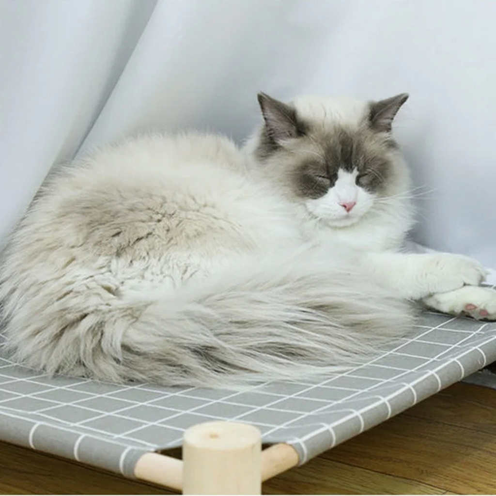Suspended Hammock Bed for Cats