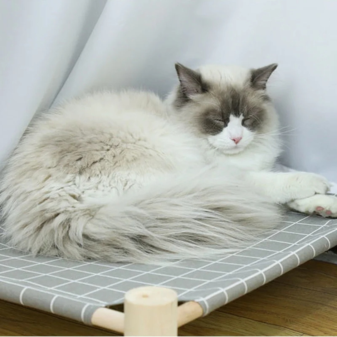 Suspended Hammock Bed for Cats