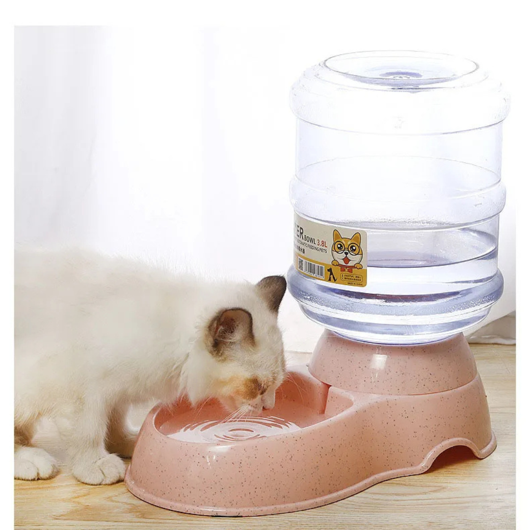 Automatic Pet Feeder or Water Dispenser