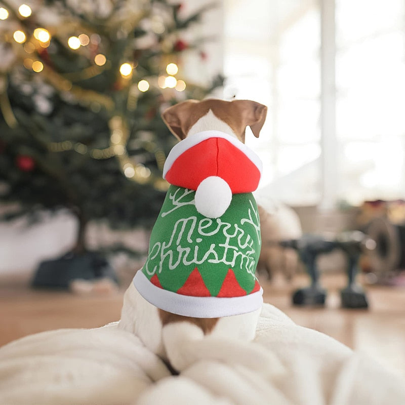 Christmas Pet Sweater