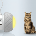 Electronic Interactive Cat Toy