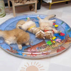 Sensory Water Bed for Cats