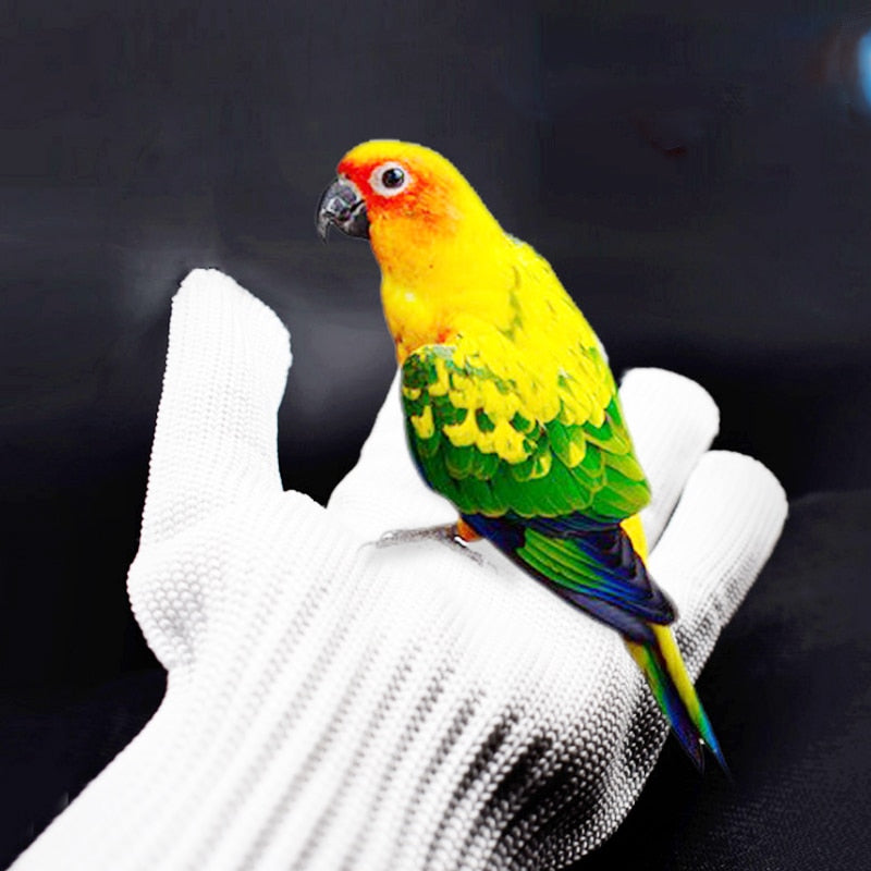 Anti-Bite Training Gloves for Birds