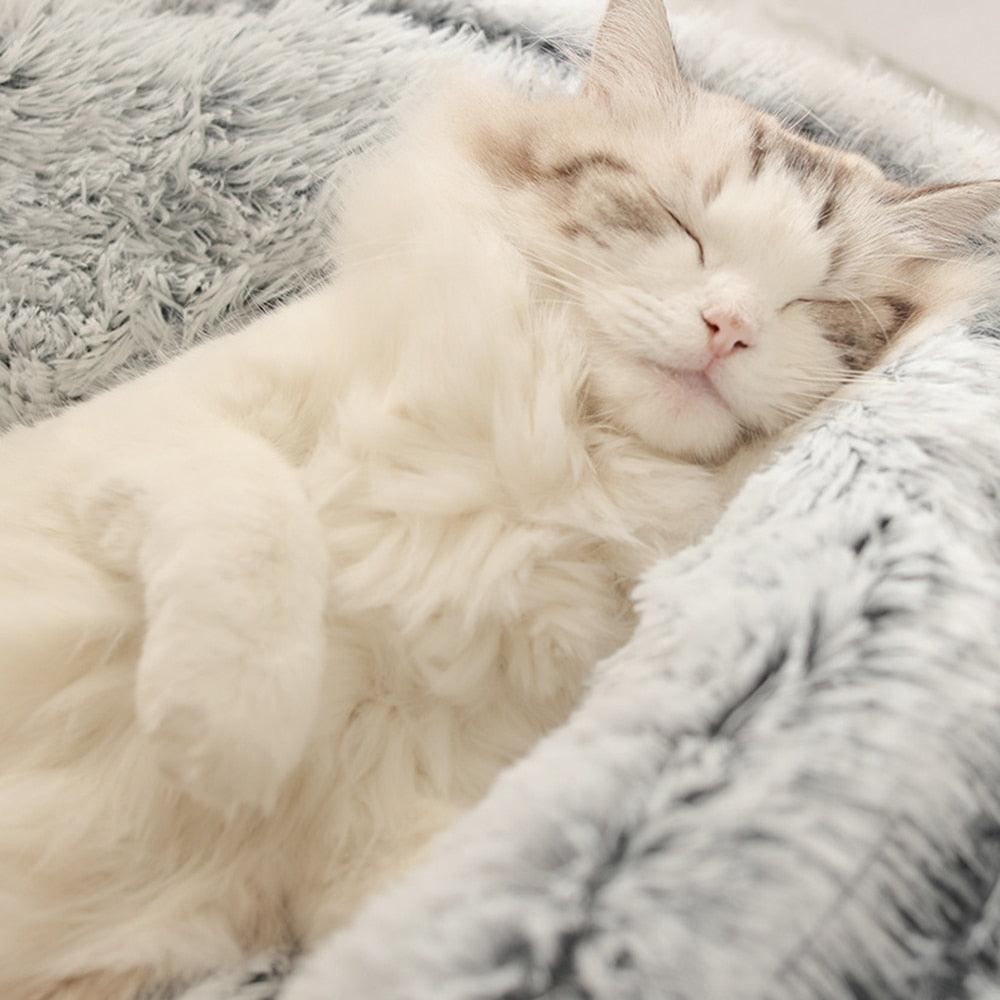 Cloud Luxury Cat Bed