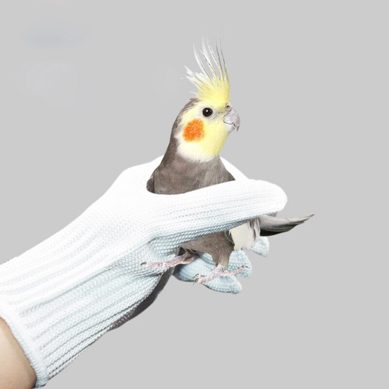 Anti-Bite Training Gloves for Birds