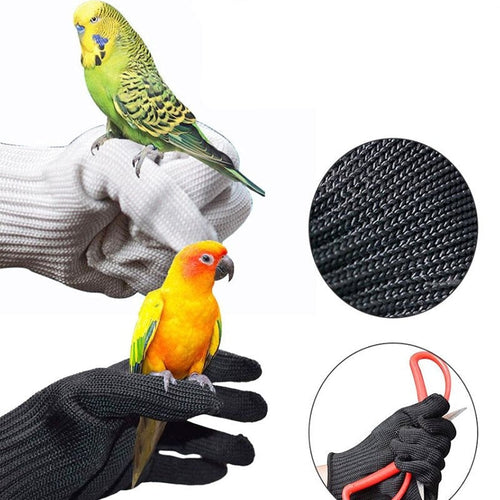 Anti-Bite Training Gloves for Birds