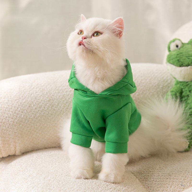 Frog Hoodie for Cats