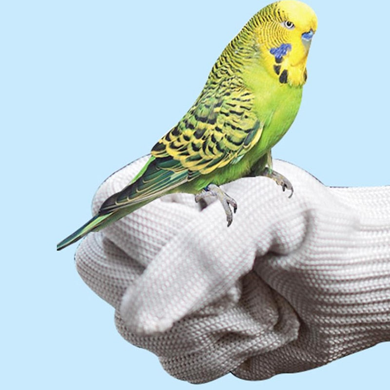 Anti-Bite Training Gloves for Birds