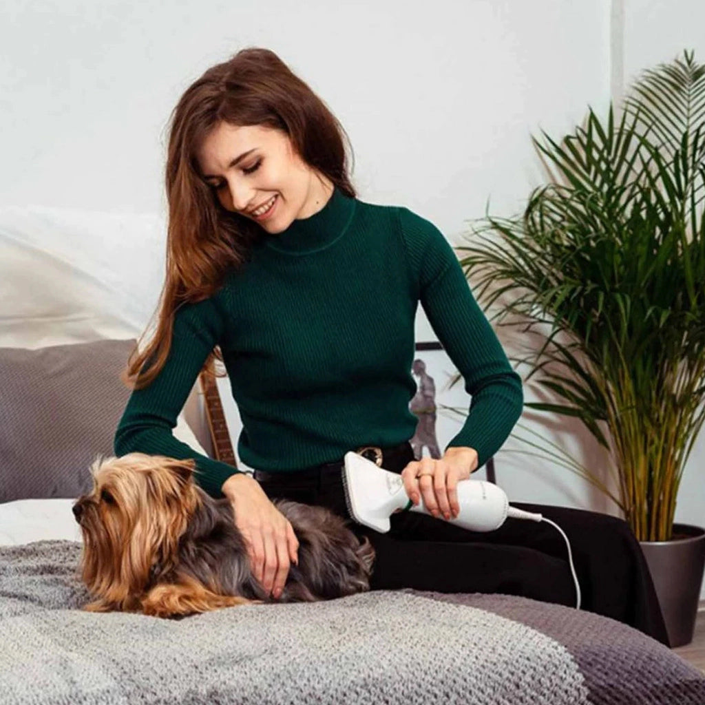 Pet Dryer and Detangling Brush