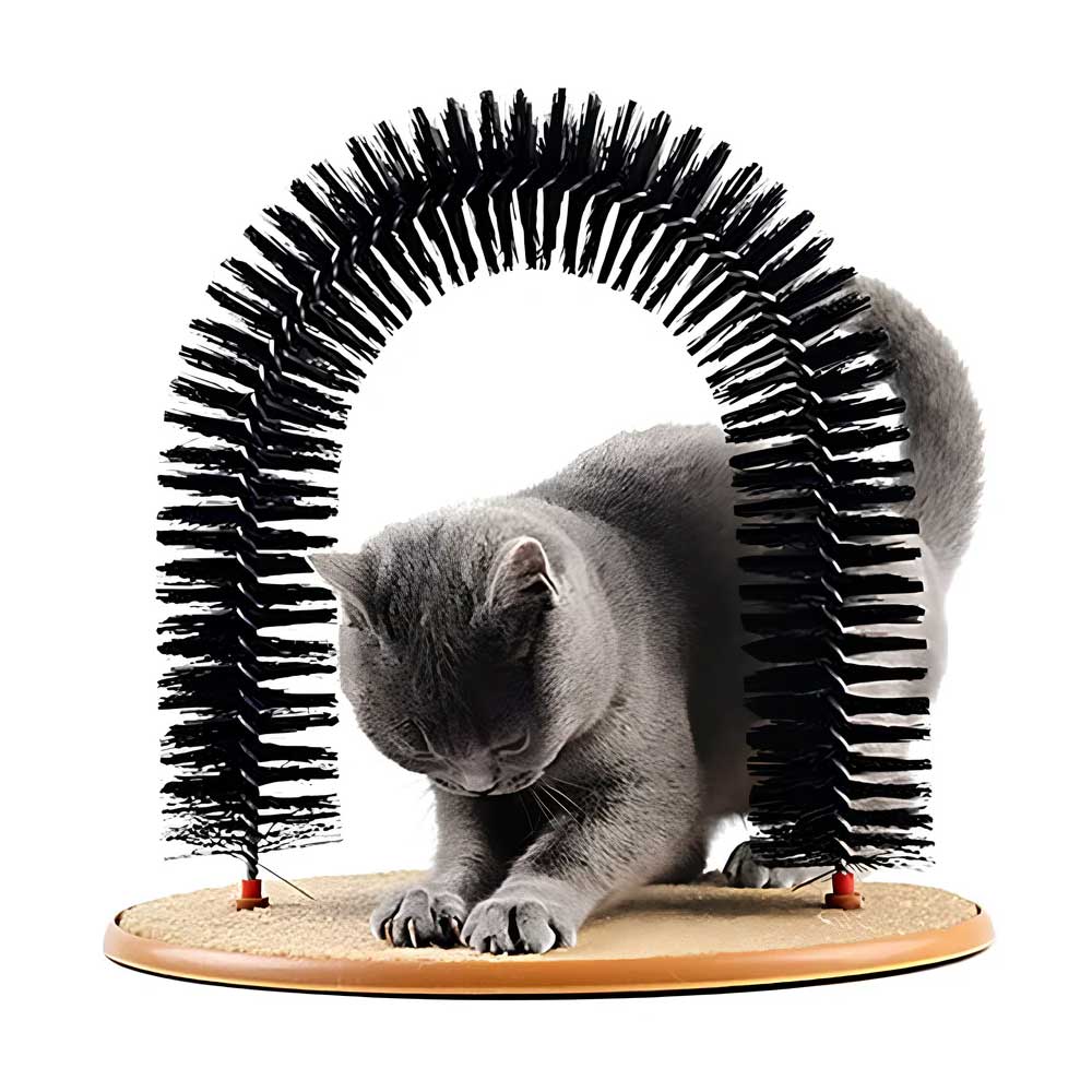 Cat Massager Toy with Scratcher