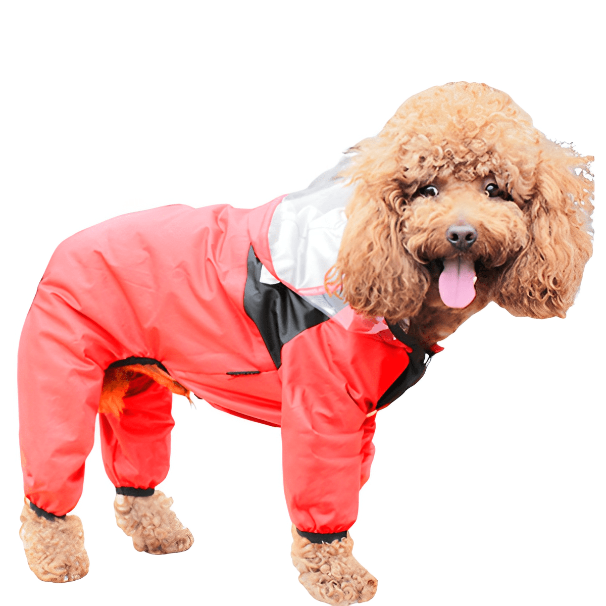 Raincoat for Small and Medium Dogs