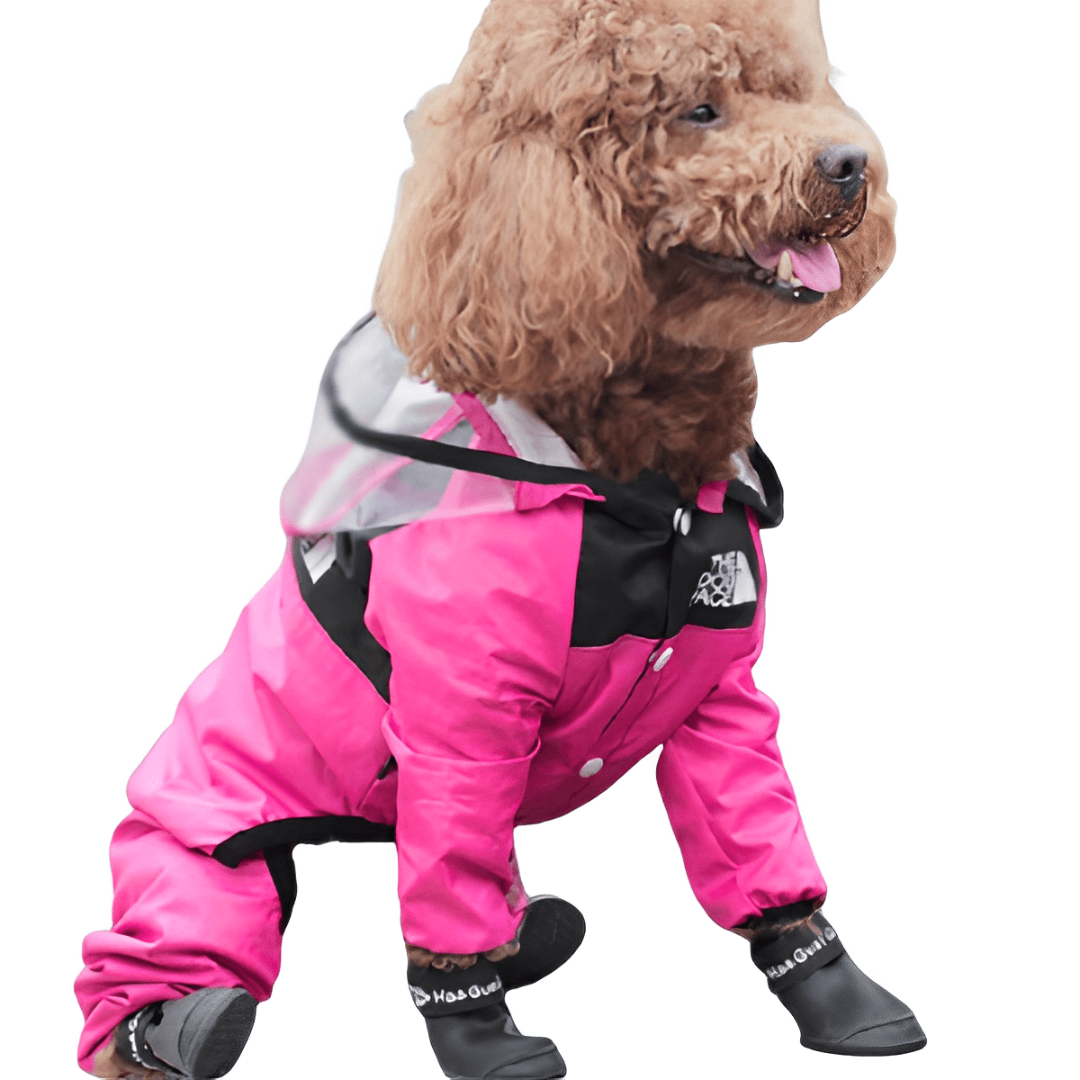 Raincoat for Small and Medium Dogs