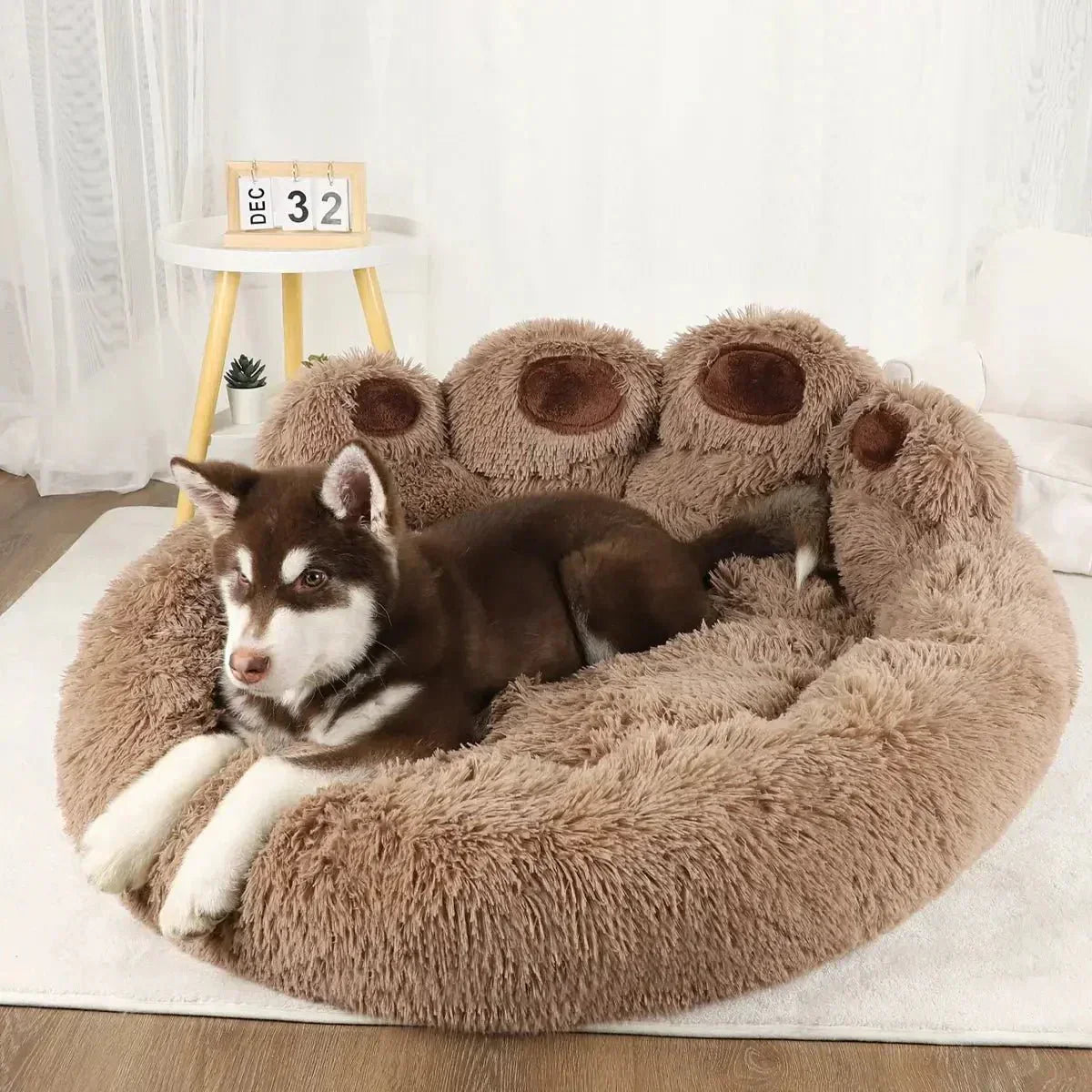 Paw Cozy Pet Bed