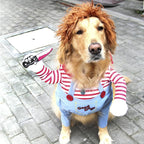 Dog Halloween Costume