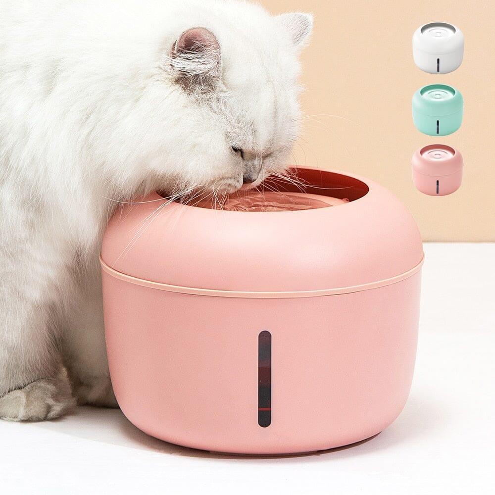 Cat Water Fountain