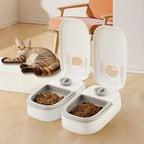 Smart Feeder for Cats