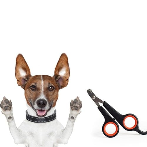 Professional Pet Nail Clipper